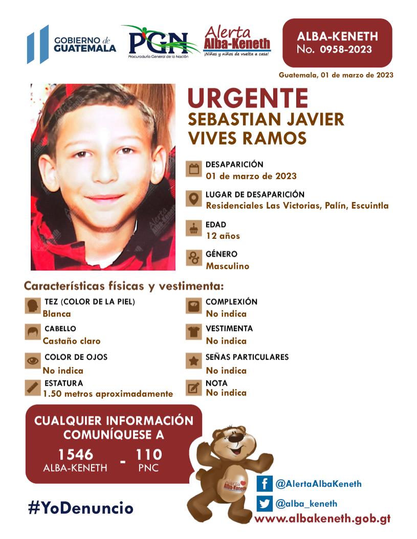 Sebastian Javier Vives Ramos