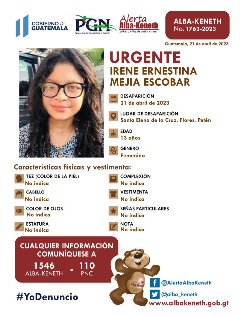 Irene Ernestina Mejia Escobar