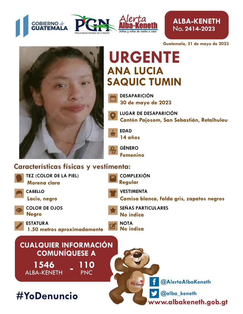 Ana Lucia Saquin Tumin