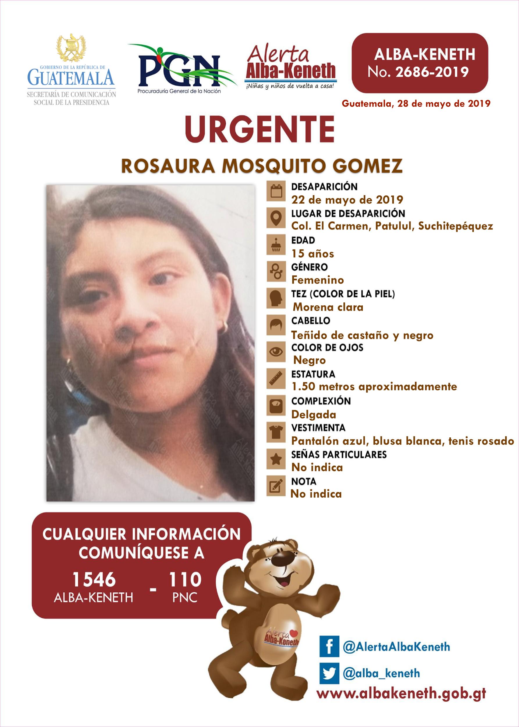 Rosaura Mosquito Gomez