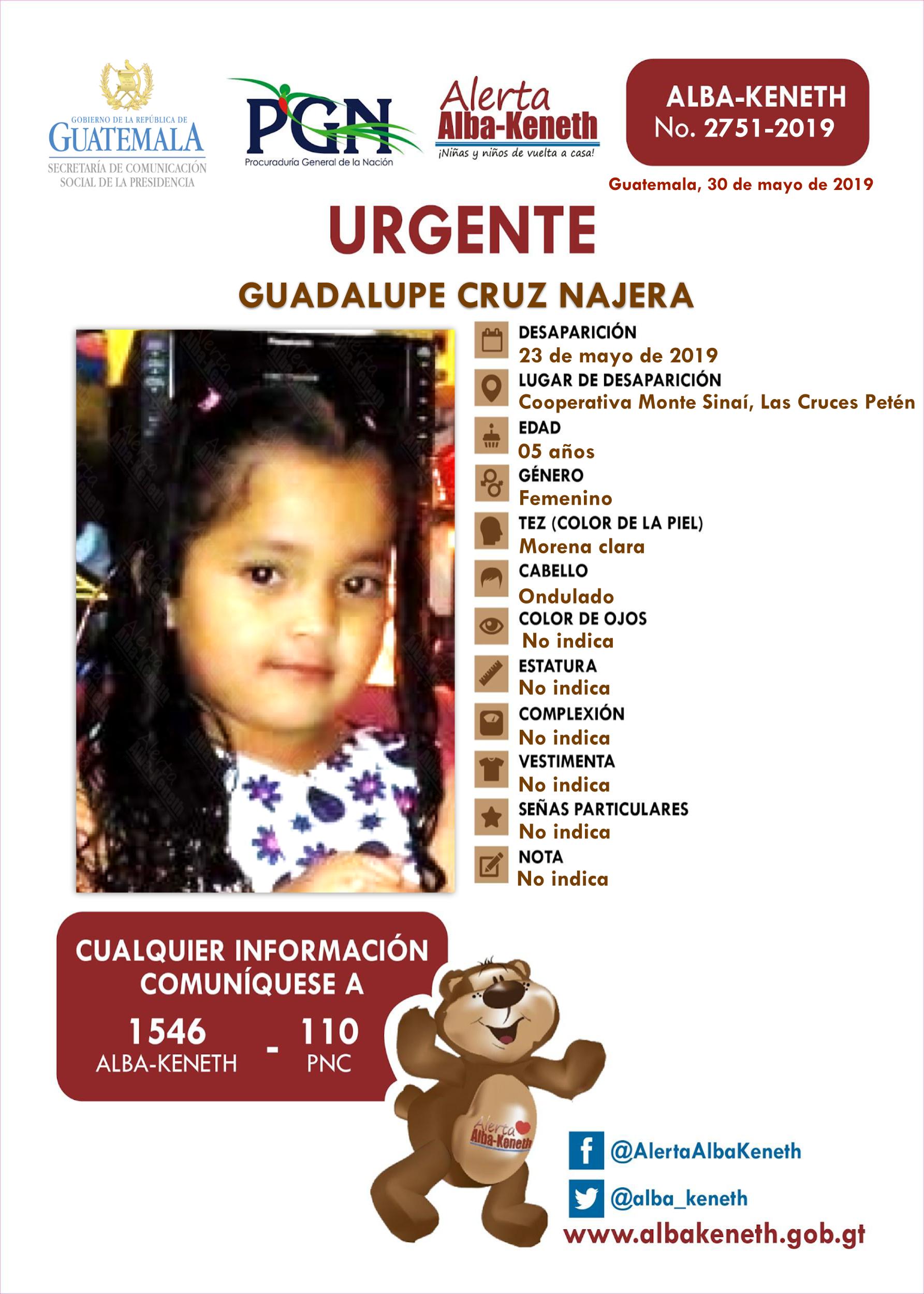 Guadalupe Cruz Najera