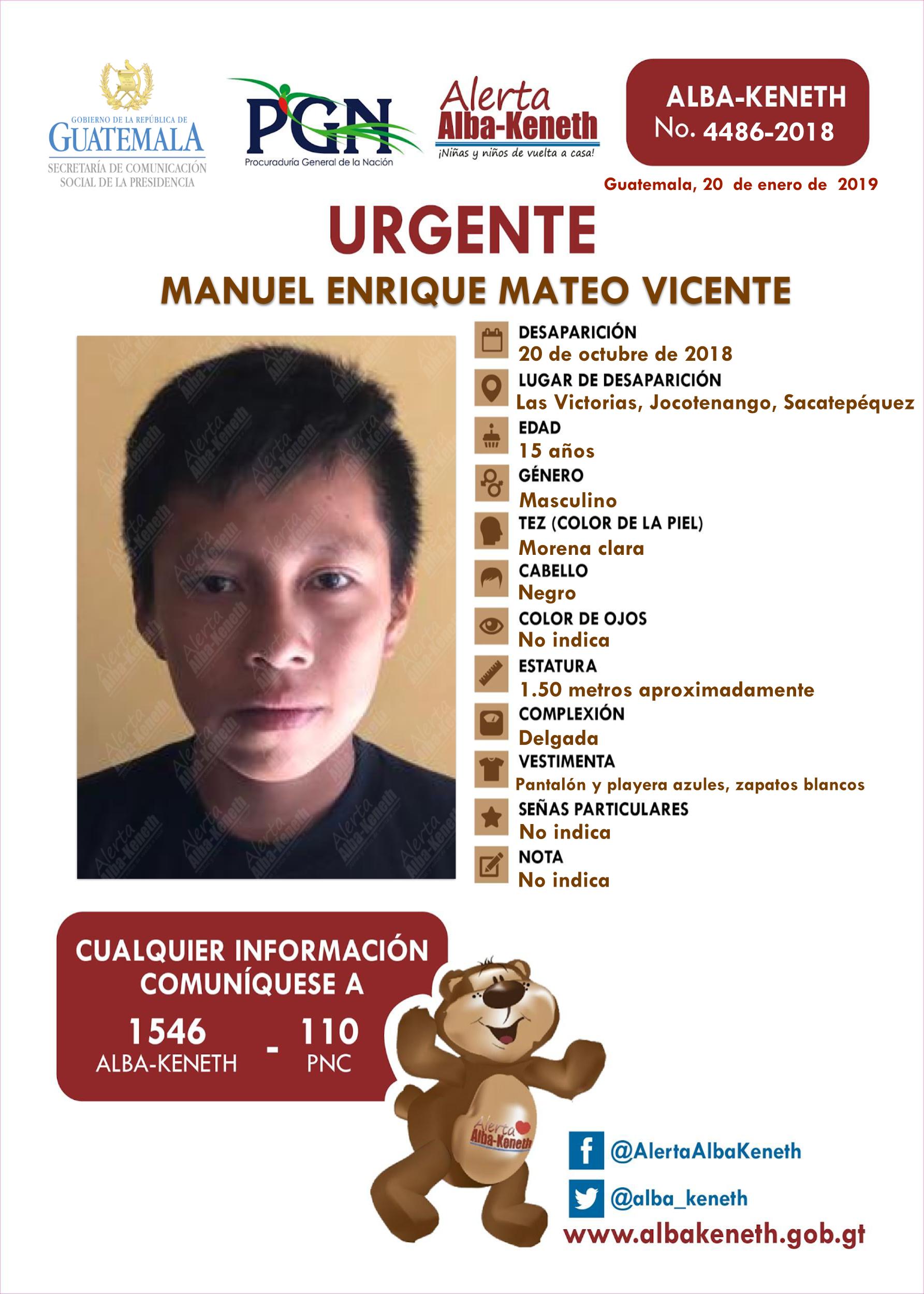 Manuel Enrique Mateo Vicente