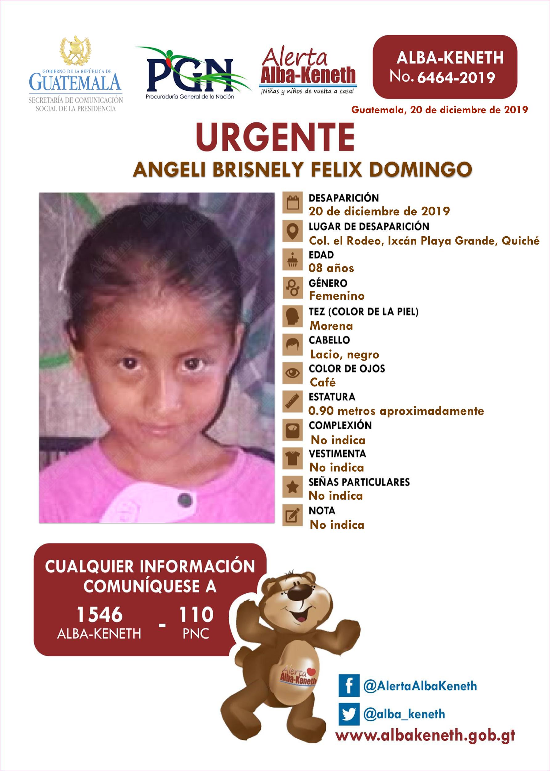 Angeli Brisnely Feliz Domingo