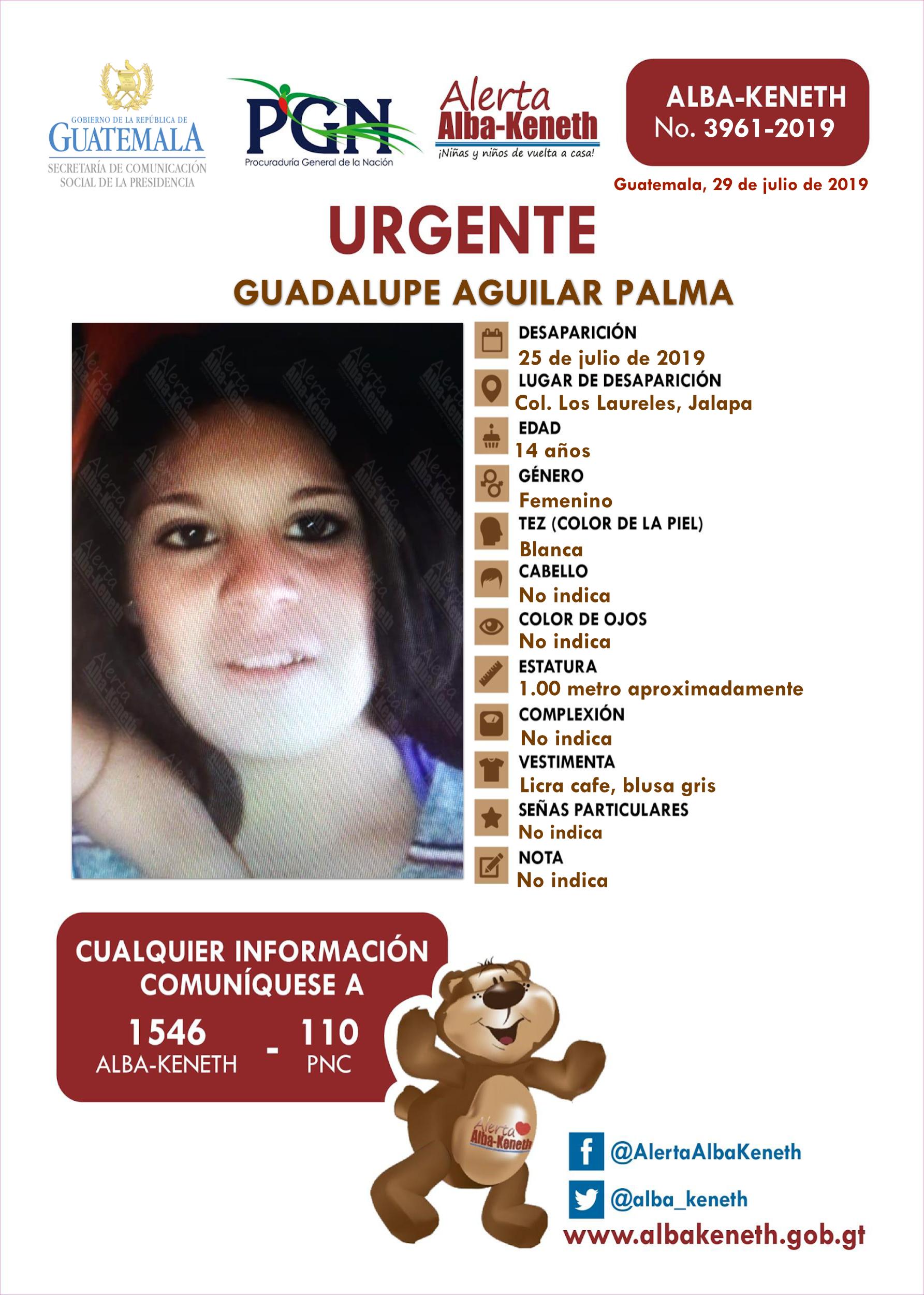 Alerta Alba-Keneth